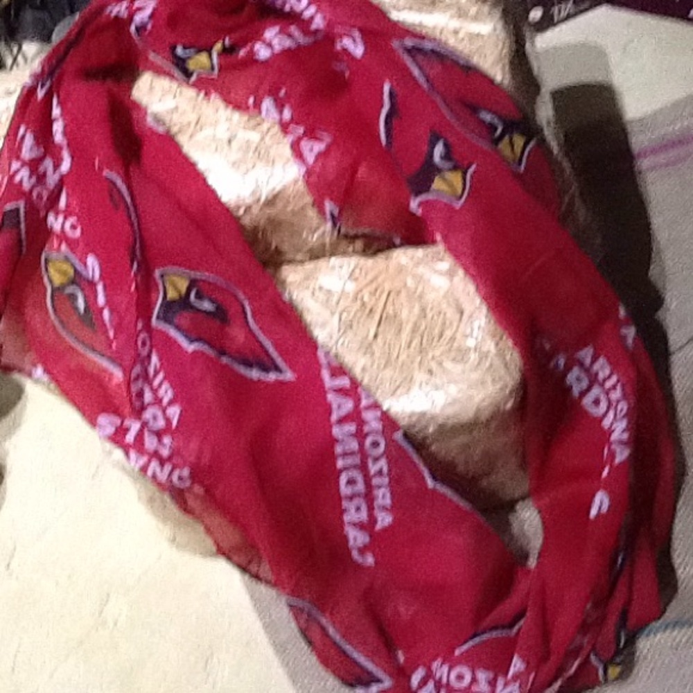 Az Cardinals Lite Unity Loop Scarf